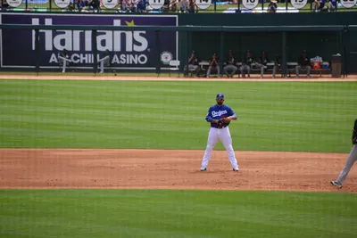 DSC_1545 (Large).JPG